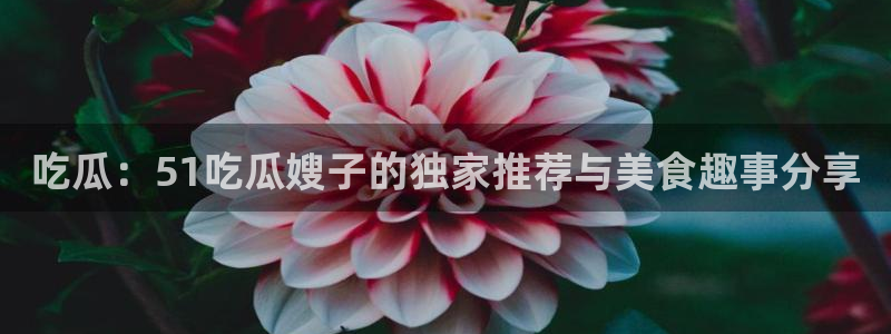 吃瓜：51吃瓜嫂子的独家推荐与美食趣事分享