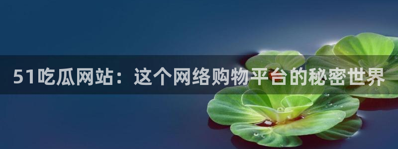 51吃瓜网站：这个网络购物平台的秘密世界