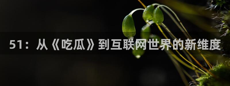 51：从《吃瓜》到互联网世界的新维度